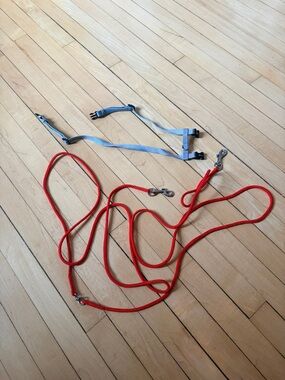Adjustable Small Cat Harness and Red Rope Leash Set